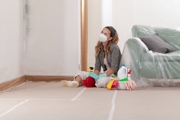 Reliable Mold Cleanup contractor in Higgins Lake, MI by Cheap Mold Removal